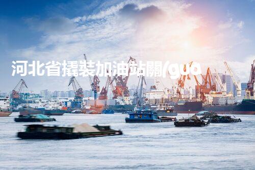 河北省撬裝加油站關(guān)鍵技術(shù)突破！化工廠拆除工程的新方法探索？